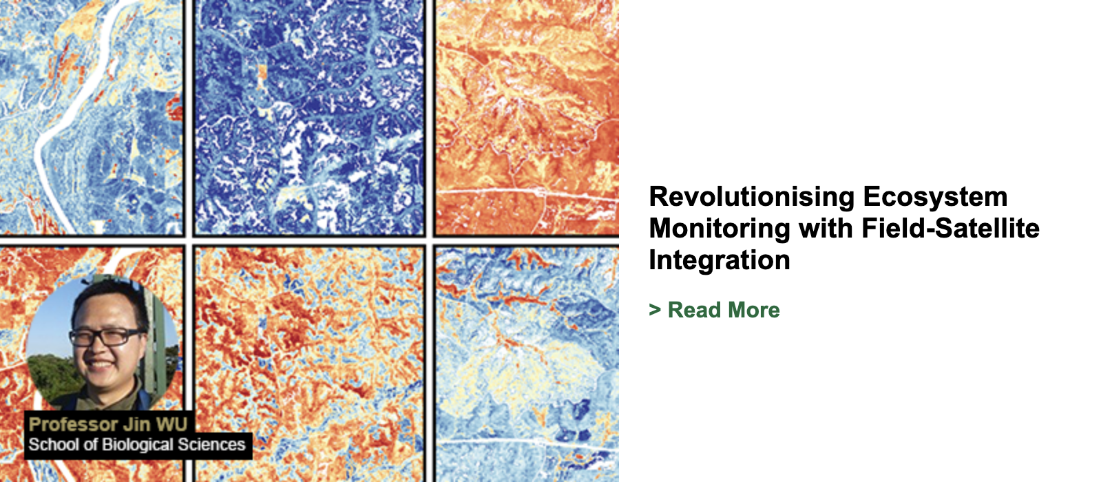 Revolutionising Ecosystem Monitoring with Field-Satellite Integration